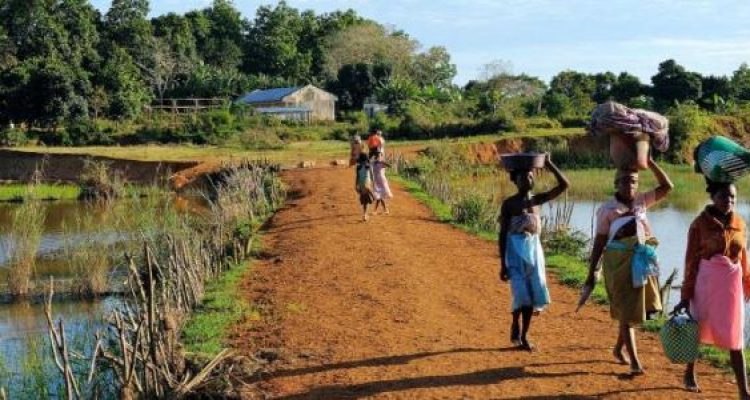 سكان_جزيرة_مدغشقر