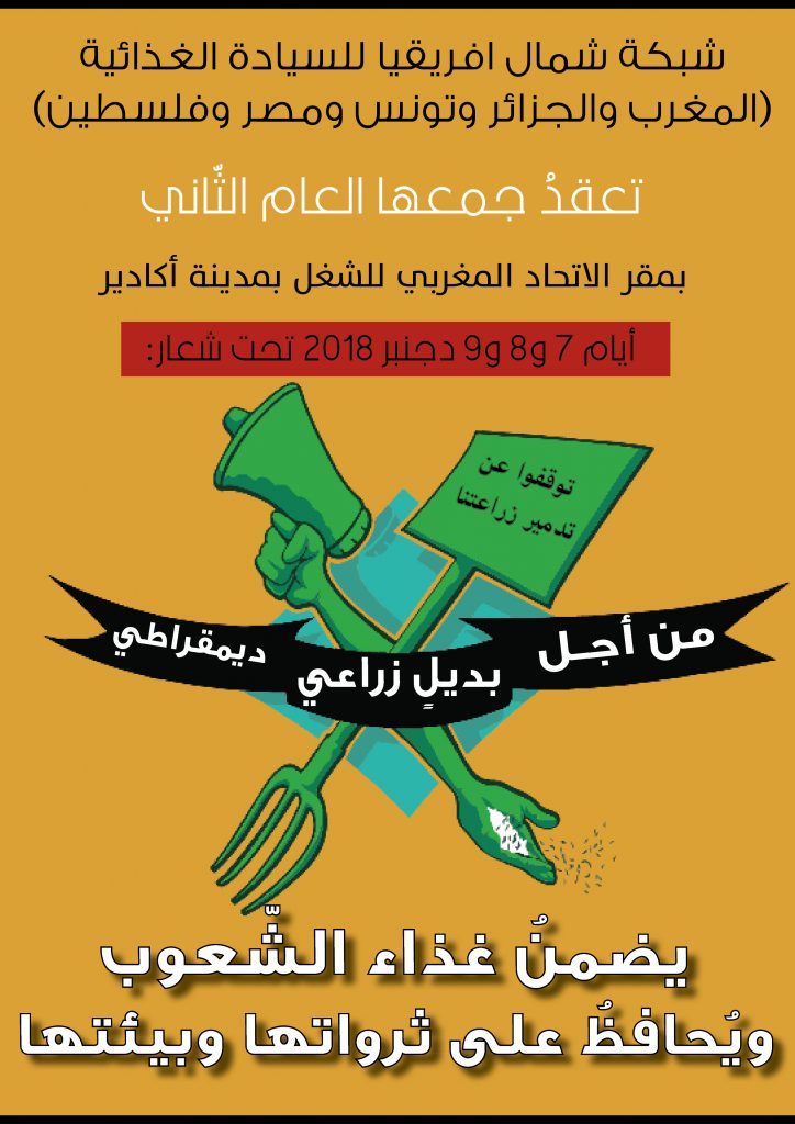 شبكة شمال إفريقا