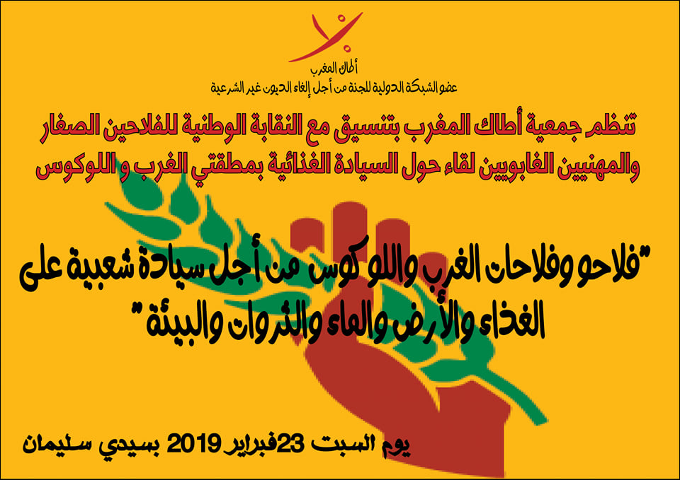 اللوكوس و الغرب
