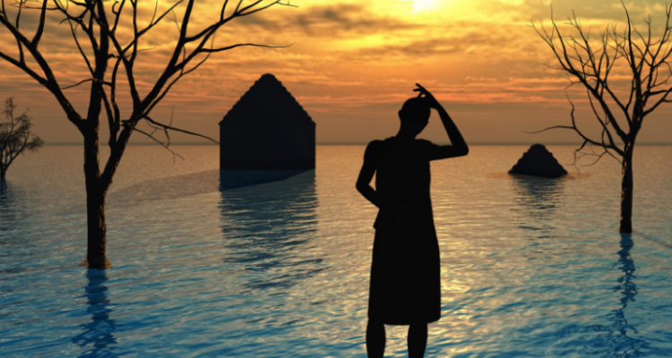 042814blog-Strategic-adaptation-978x498-780x470