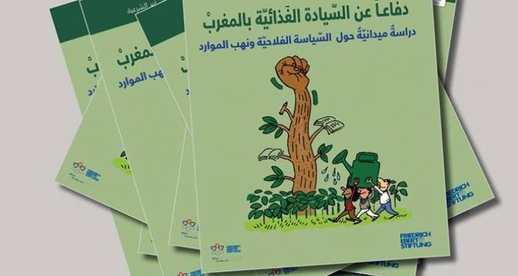 044444444444444-741x470