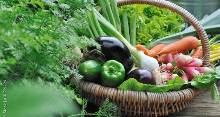 1000_F_101721229_TuXCBi0gDd1YKut2fj3WafvxaabpROTk