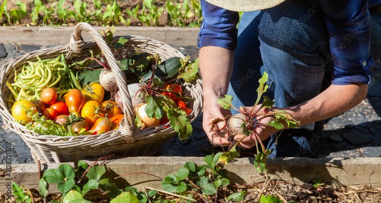 1000_F_302211162_kOjy6lHEl6d7UBmTqRGzL0B6XRwp6elg