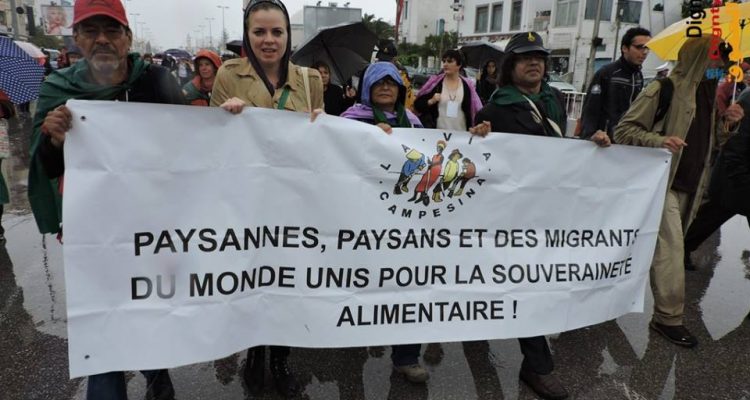 1471197_906543866063022_2459286010602468134_n