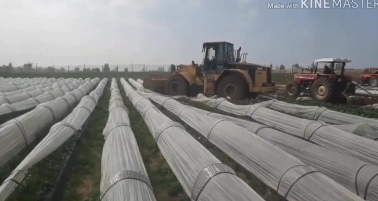 IMG-20200309-WA0010-780x470