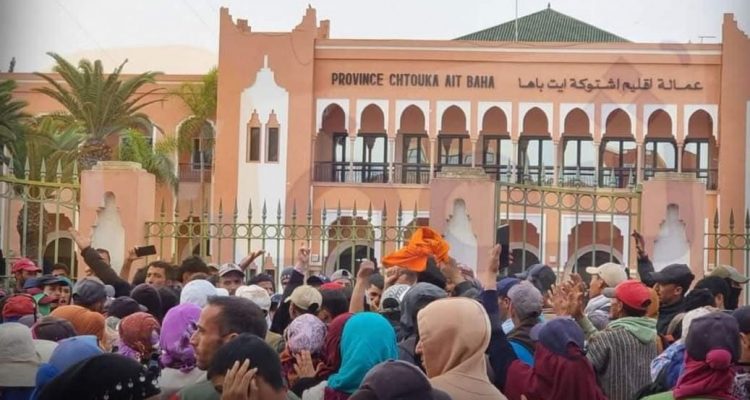 WhatsApp Image 2024-11-28 at 21.55.47