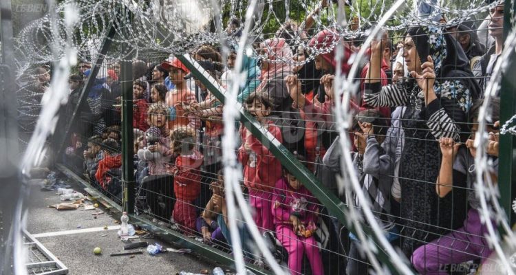 des-refugies-a-la-frontiere-entre-serbo-hongroise-photo-afp-1462194398