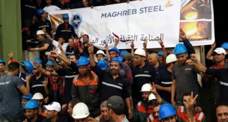 maghrebsteel_992967250