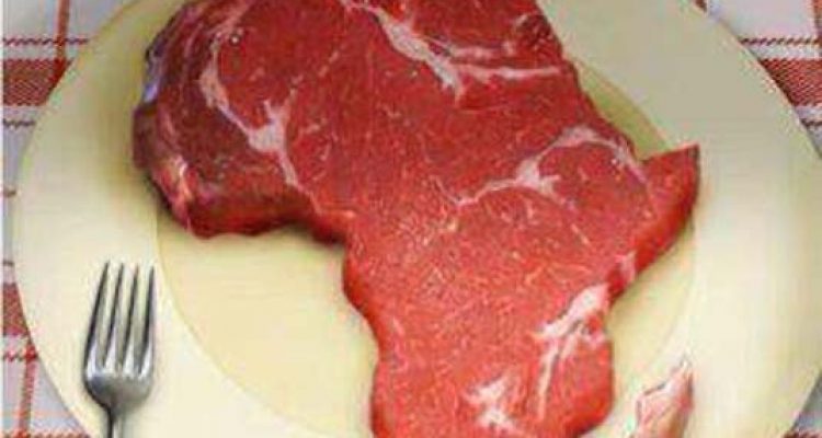 ong-occidentales-afrique